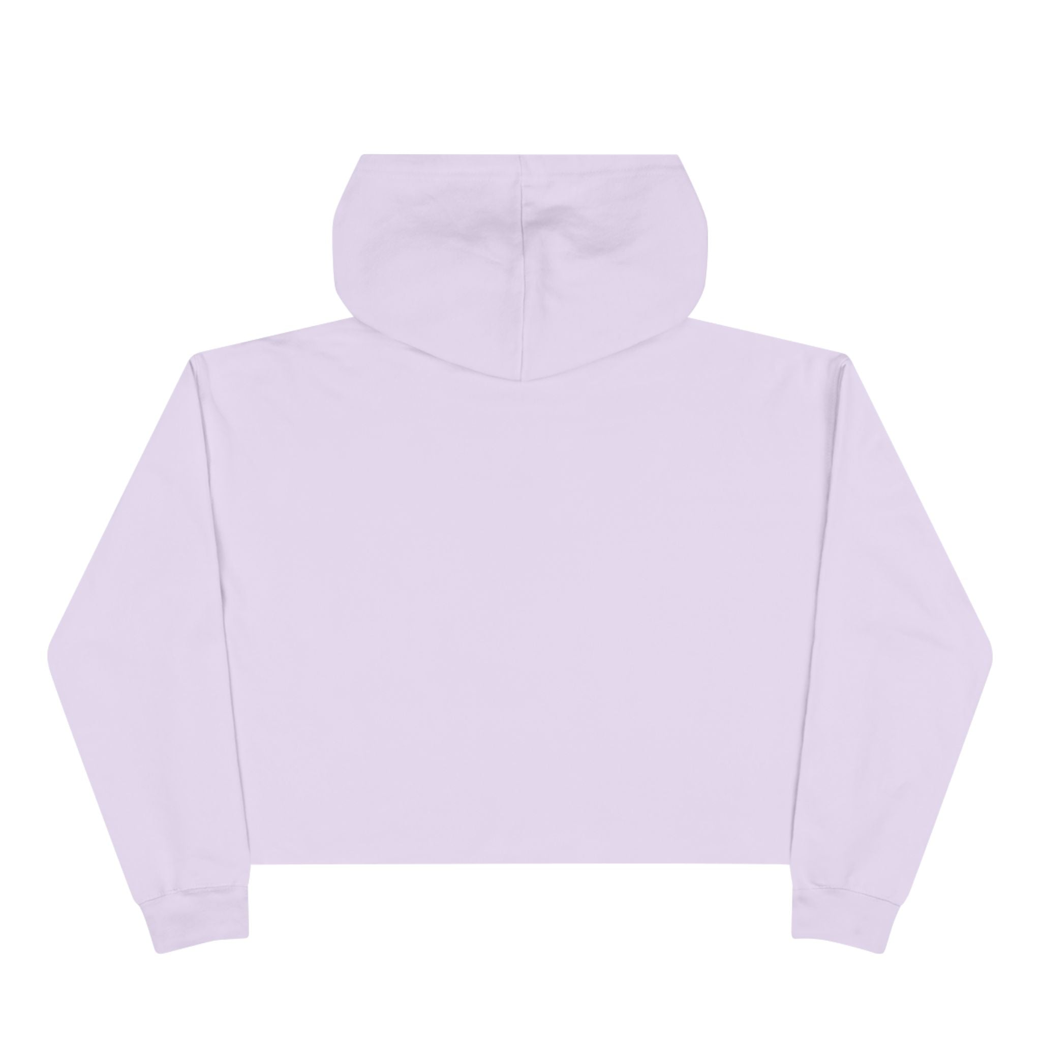 Crop Hoodie — Liberty’s Descendants Compass Graphic Cropped Hoodie