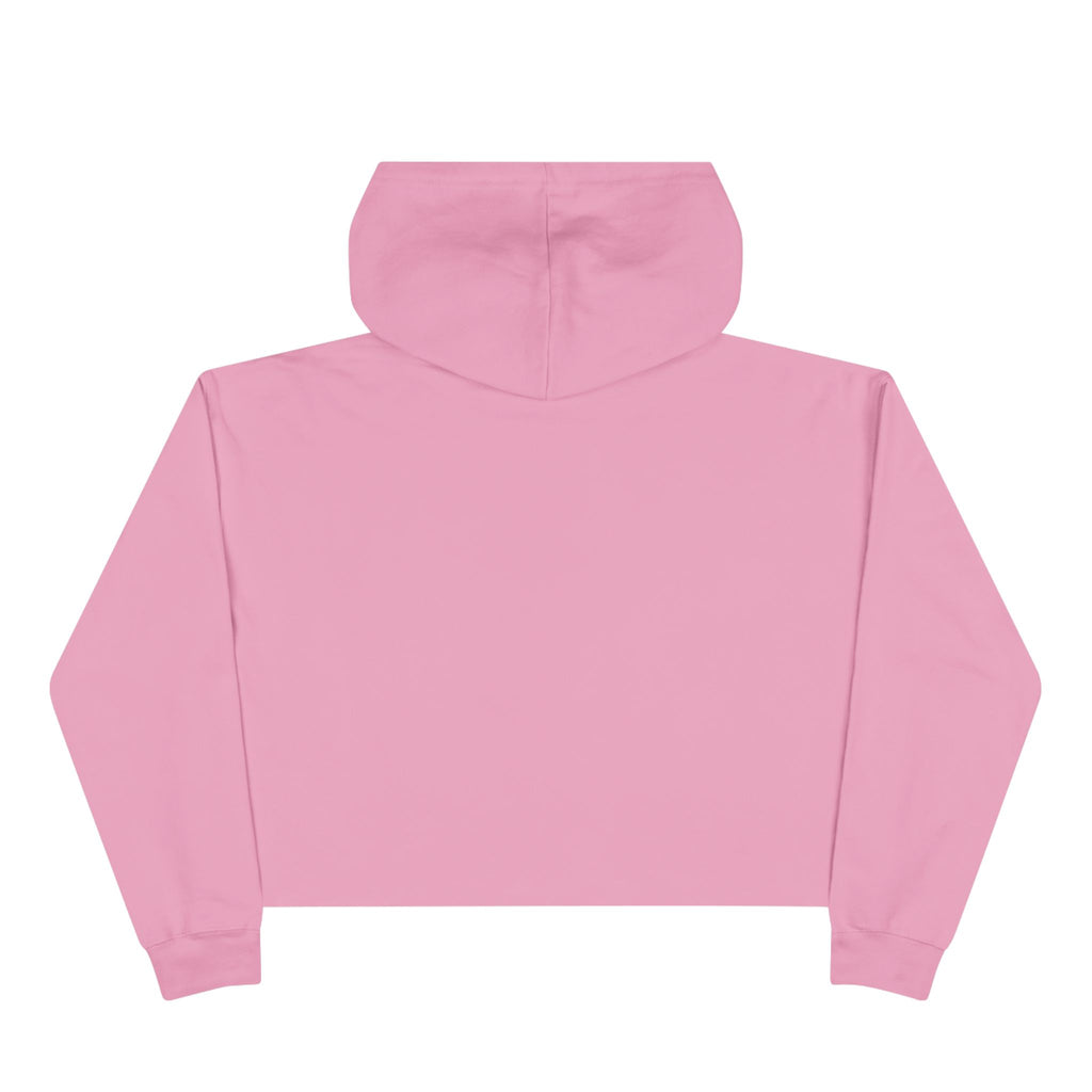 Crop Hoodie — Liberty’s Descendants Compass Graphic Cropped Hoodie