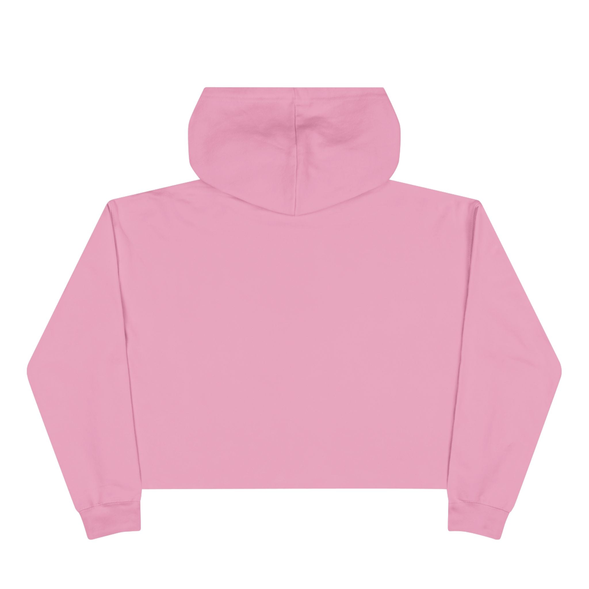 Crop Hoodie — Liberty’s Descendants Compass Graphic Cropped Hoodie