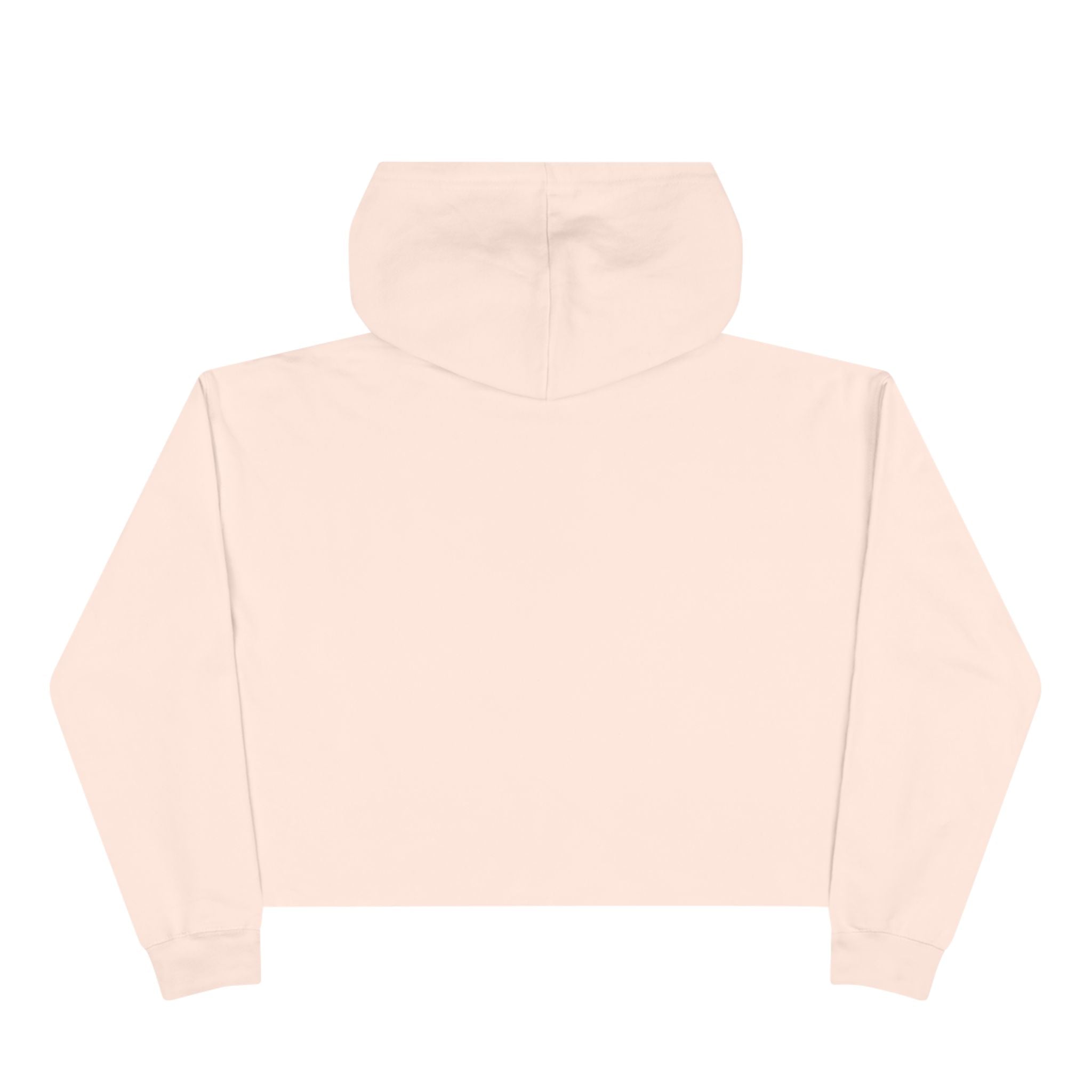 Crop Hoodie — Liberty’s Descendants Compass Graphic Cropped Hoodie